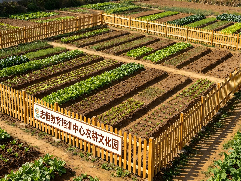 中山叛逆青少年教育学校怎么联系?全封闭管教机构选择指南